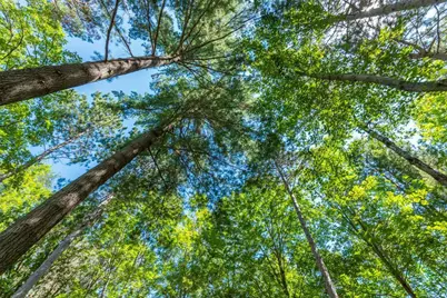 8559 Sunset Shores, Pine River, MN 56474 - Photo 29