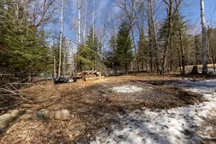 50185 219th Ave, Bemidji, MN 56601 - Photo 49