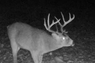 28005 75th Ave N, Hitterdal, MN 56552 - Photo 61