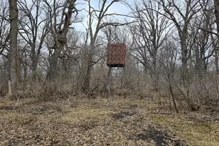 28005 75th Ave N, Hitterdal, MN 56552 - Photo 59