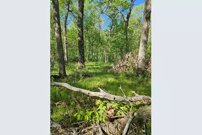 Tbd Lot 49, Blk 1 Huron Dr., Breezy Point, MN 56472 - Photo 3