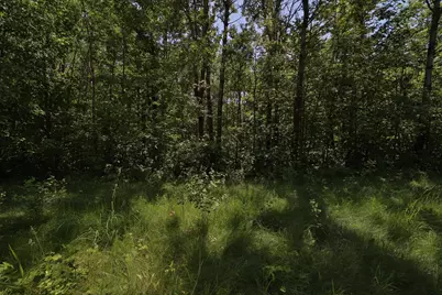 Tract C Olander Road, Crosby, MN 56441 - Photo 5