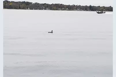 16634 Hightop Way NW, Cass Lake, MN 56633 - Photo 109