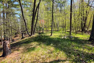 25315 Heartland Dr, Nevis, MN 56467 - Photo 61