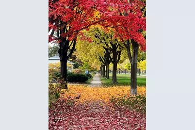 4433 Oliver Avenue N, Minneapolis, MN 55412 - Photo 39