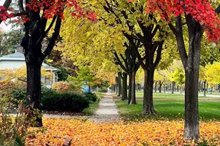 4433 Oliver Ave N, Minneapolis, MN 55412 - Photo 39