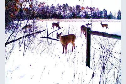 7874 475th Street, Rush City, MN 55069 - Photo 81