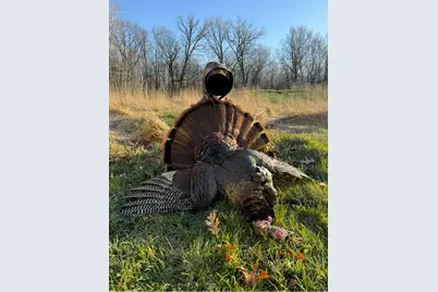 7874 475th Street, Rush City, MN 55069 - Photo 33