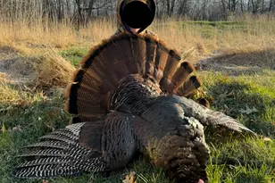 7874 475th St, Rush City, MN 55069 - Photo 33