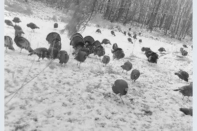 7874 475th Street, Rush City, MN 55069 - Photo 45