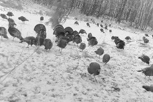 7874 475th St, Rush City, MN 55069 - Photo 45