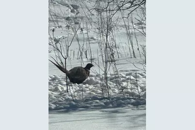 7874 475th Street, Rush City, MN 55069 - Photo 53