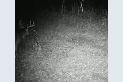 7874 475th Street, Rush City, MN 55069 - Photo 69