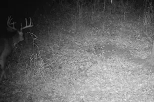 7874 475th St, Rush City, MN 55069 - Photo 69