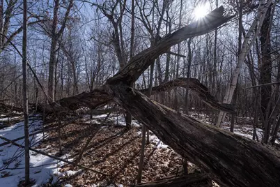 7874 475th Street, Rush City, MN 55069 - Photo 67