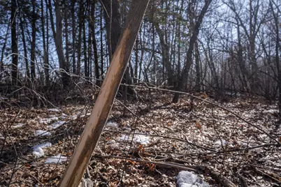 7874 475th Street, Rush City, MN 55069 - Photo 57