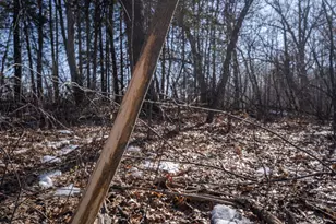 7874 475th St, Rush City, MN 55069 - Photo 57