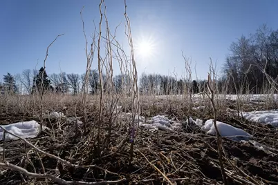 7874 475th Street, Rush City, MN 55069 - Photo 75