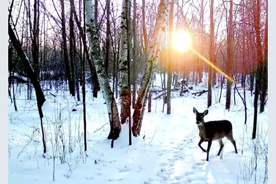 7874 475th Street, Rush City, MN 55069 - Photo 83