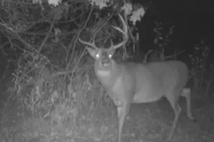 7874 475th St, Rush City, MN 55069 - Photo 41