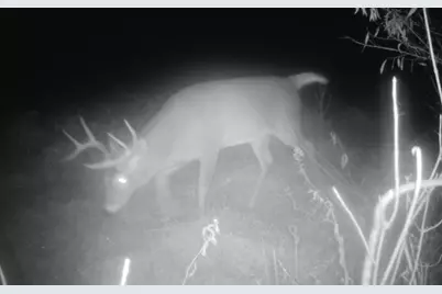 7874 475th Street, Rush City, MN 55069 - Photo 71