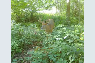 7874 475th Street, Rush City, MN 55069 - Photo 47