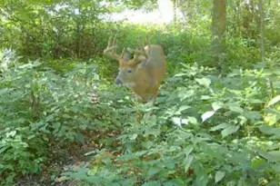 7874 475th St, Rush City, MN 55069 - Photo 47