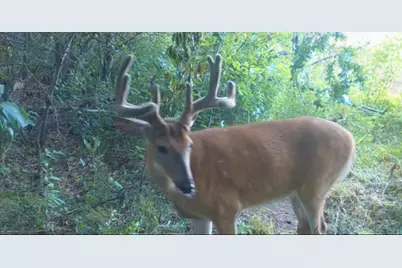 7874 475th Street, Rush City, MN 55069 - Photo 29