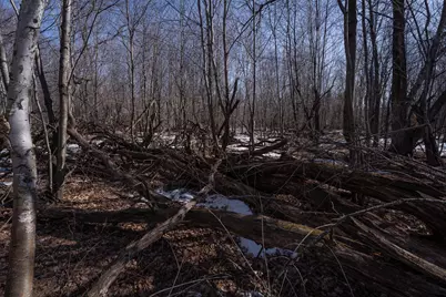 7874 475th Street, Rush City, MN 55069 - Photo 101