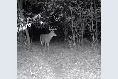 7874 475th Street, Rush City, MN 55069 - Photo 51