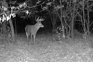 7874 475th St, Rush City, MN 55069 - Photo 51