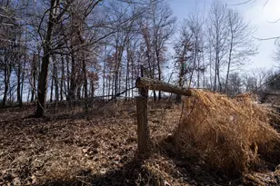 7874 475th St, Rush City, MN 55069 - Photo 59