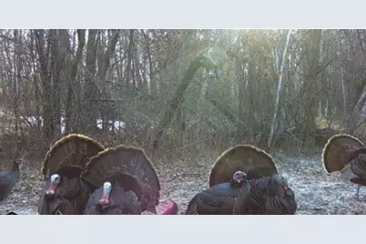 7874 475th Street, Rush City, MN 55069 - Photo 43