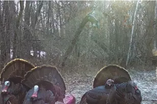 7874 475th St, Rush City, MN 55069 - Photo 43