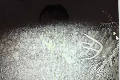 7874 475th Street, Rush City, MN 55069 - Photo 49