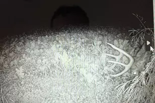 7874 475th St, Rush City, MN 55069 - Photo 49