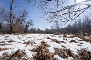 7874 475th St, Rush City, MN 55069 - Photo 103