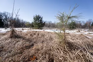 7874 475th St, Rush City, MN 55069 - Photo 65