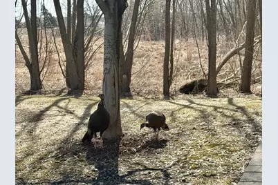 11899 85th Place N, Maple Grove, MN 55369 - Photo 43