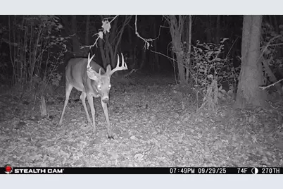 Tbd 270th Street, Deer Creek, MN 56527 - Photo 63