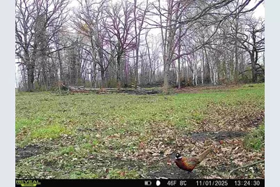 Tbd 270th Street, Deer Creek, MN 56527 - Photo 77