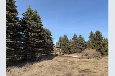 Tbd 270th Street, Deer Creek, MN 56527 - Photo 21