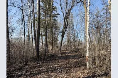 Tbd 270th Street, Deer Creek, MN 56527 - Photo 45