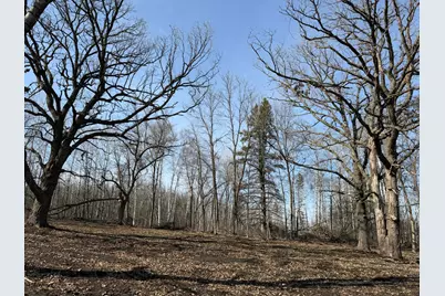 Tbd 270th Street, Deer Creek, MN 56527 - Photo 43