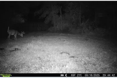 Tbd 270th Street, Deer Creek, MN 56527 - Photo 73