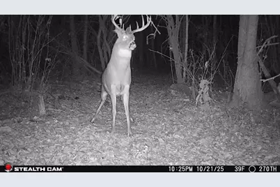 Tbd 270th Street, Deer Creek, MN 56527 - Photo 61