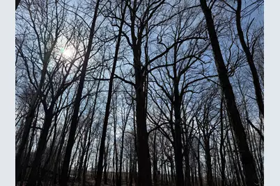 Tbd 270th Street, Deer Creek, MN 56527 - Photo 55