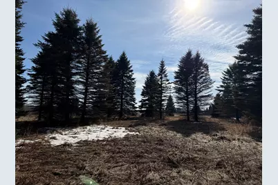 Tbd 270th Street, Deer Creek, MN 56527 - Photo 59