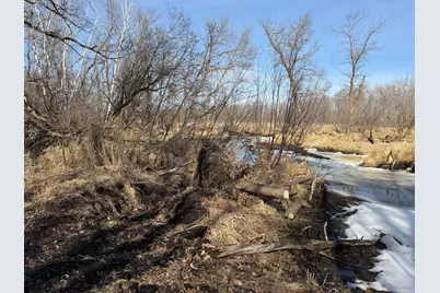 Tbd 270th Street, Deer Creek, MN 56527 - Photo 41