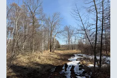 Tbd 270th Street, Deer Creek, MN 56527 - Photo 29